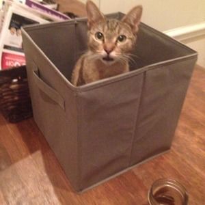 Meet your Posher, Leslie